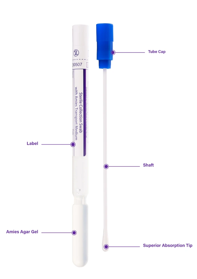 Amies Gel Transport Media Swabs Specifications and Infographic